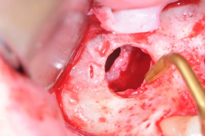 Dsc 0389 b5gmiw - Eugenol