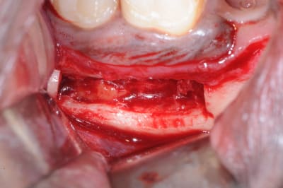 Dsc 0612 lrcdy6 - Eugenol