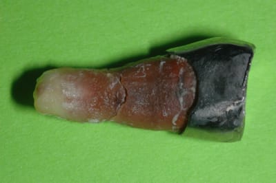 Dsc 0730 vesiym - Eugenol