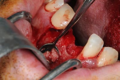 Dsc 1630 aeoqhw - Eugenol