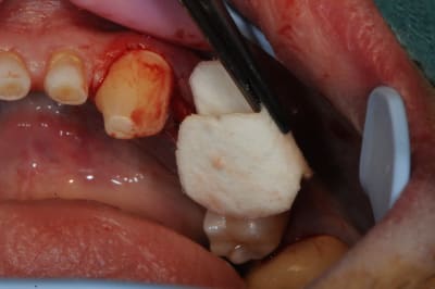 Dsc 2483 qtwqgi - Eugenol