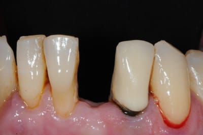 Dsc 2519 juefm1 - Eugenol