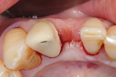 Dsc 2521 rjdsvg - Eugenol