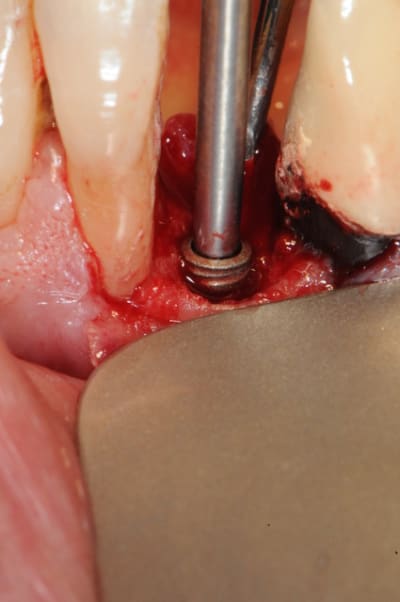 Dsc 2544 aldor8 - Eugenol