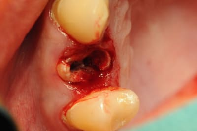 Dsc 2553 rtvk19 - Eugenol