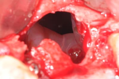 Dsc 3674 srk374 - Eugenol