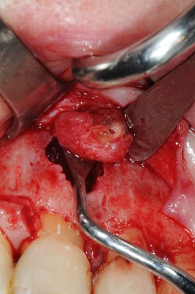 Dsc 4993 yspcjk - Eugenol