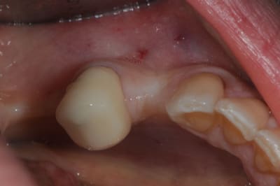 Dsc 5045 i17ral - Eugenol