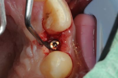 Dsc 5182 qpsppc - Eugenol