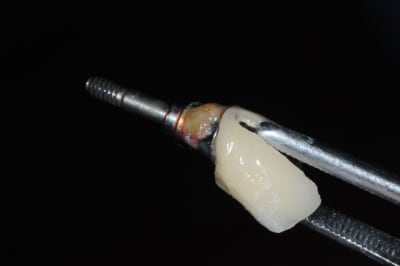 Dsc 5330 nbmf9k - Eugenol