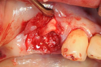 Dsc 5506 ta0wzv - Eugenol