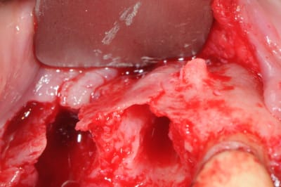 Dsc 5609 lkib8g - Eugenol