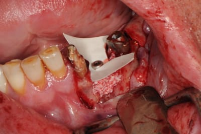 Dsc 5646 zxap47 - Eugenol