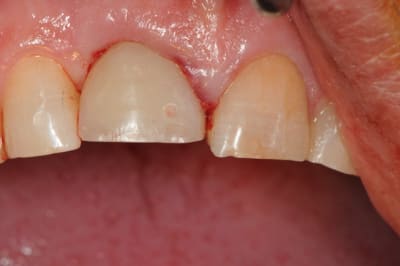 Dsc 5780 mj04ib - Eugenol