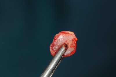 Dsc 6002 jyxape - Eugenol