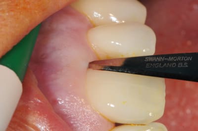 Dsc 6467 zqq5sj - Eugenol