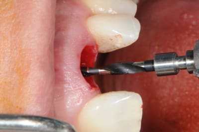 Dsc 6475 nhgsun - Eugenol