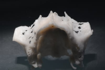 Dsc 6935 jak9mn - Eugenol