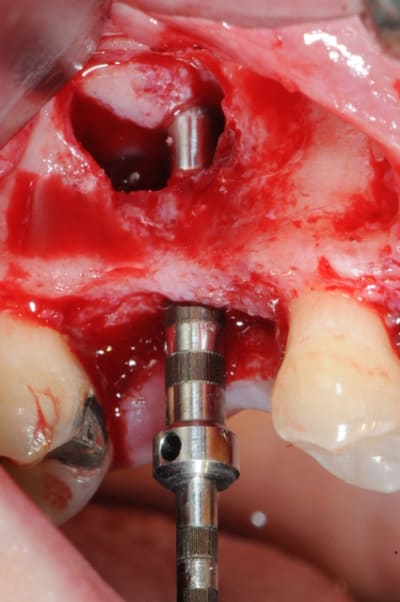 Dsc 7188 i7vsjr - Eugenol