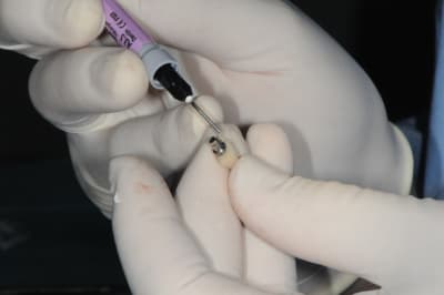 Dsc 7349 h9fyee - Eugenol