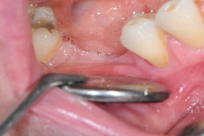 Dsc 7788 a68waz - Eugenol