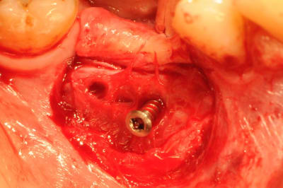 Dsc 7795 f5jt3s - Eugenol