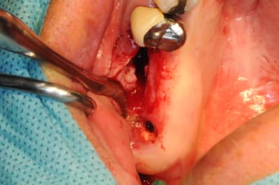 Dsc 8452 xffubc - Eugenol