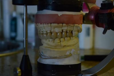 Dsc 8847 tymnf8 - Eugenol