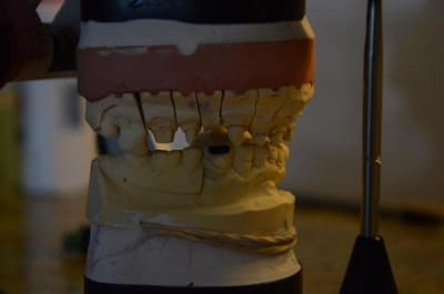 Dsc 8849 z3iboa - Eugenol