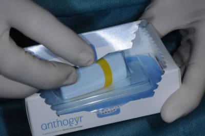 Dsc 9261 rdxwxy - Eugenol