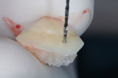 Dsc 9456 rjrw2a - Eugenol
