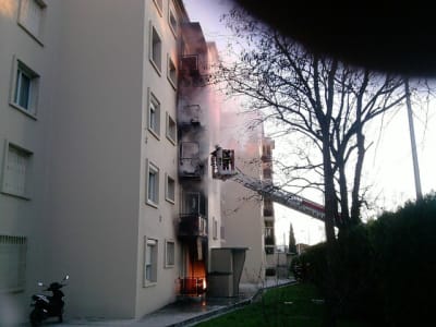 Feu2 untwbf - Eugenol