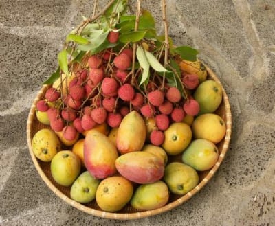 Fruits de saison ej4oco - Eugenol