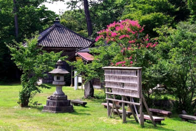 Gkz  2  sgte5t - Eugenol