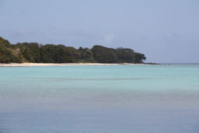Guadeloupe 2013 181 zbmu8n - Eugenol