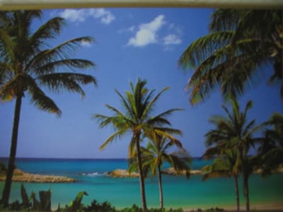 Hawaii srkvwe - Eugenol