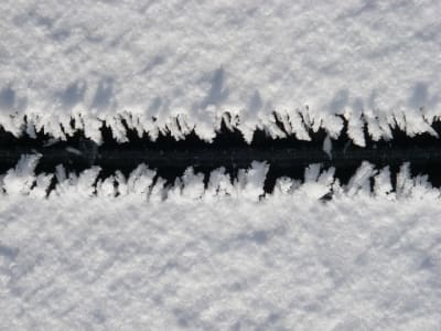 Imgp0100 xv5lpo - Eugenol