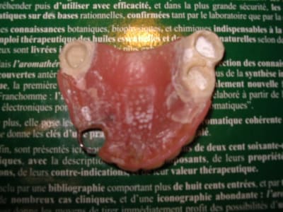 Imgp0257 vaihxs - Eugenol