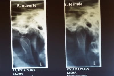 Imgp1407 uzk0p8 - Eugenol