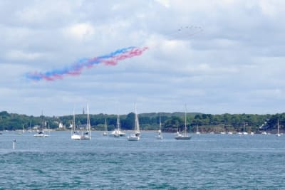 Imgp5202 600 xf0b6o - Eugenol