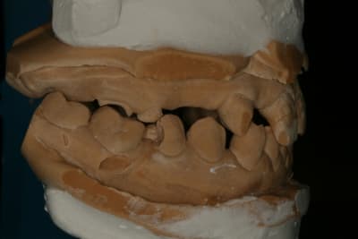 Img 0005 l0ztdu - Eugenol