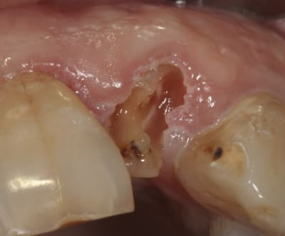 Img 0007 y6f44b - Eugenol