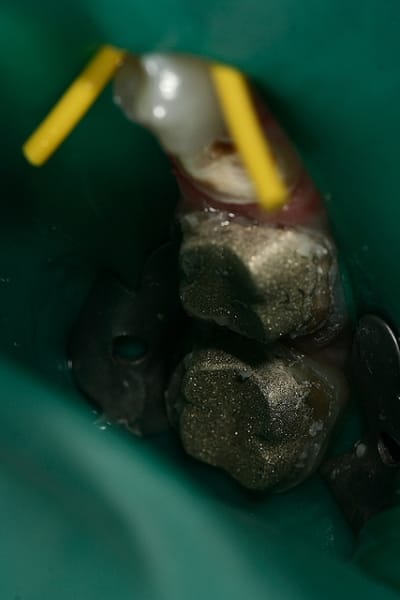 Img 0283 yxvqh5 - Eugenol