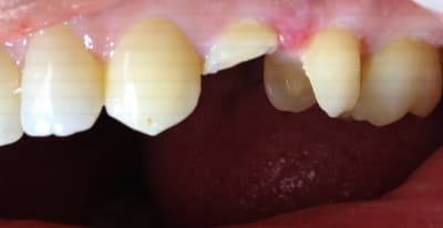 Img 0430 xurifa - Eugenol