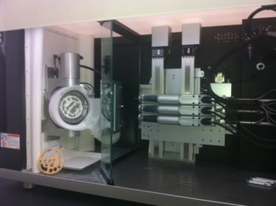 Img 0770 lc4k2o - Eugenol