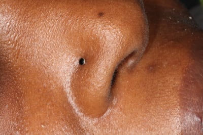 Img 1065 j9r7nk - Eugenol