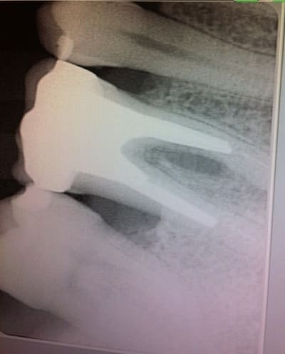 Img 1186 vdngmm - Eugenol