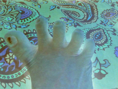 Img 1292 q8wzmf - Eugenol