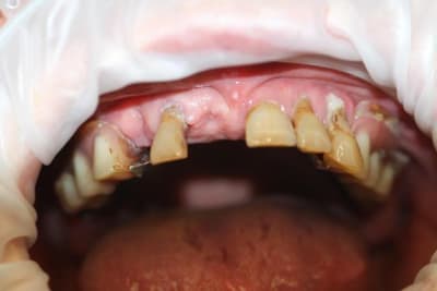 Img 1667 s1whj5 - Eugenol