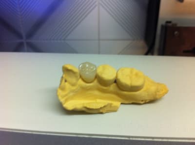 Img 1876 vzzv0p - Eugenol